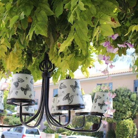 Ivoton Home Paphos Esterno foto